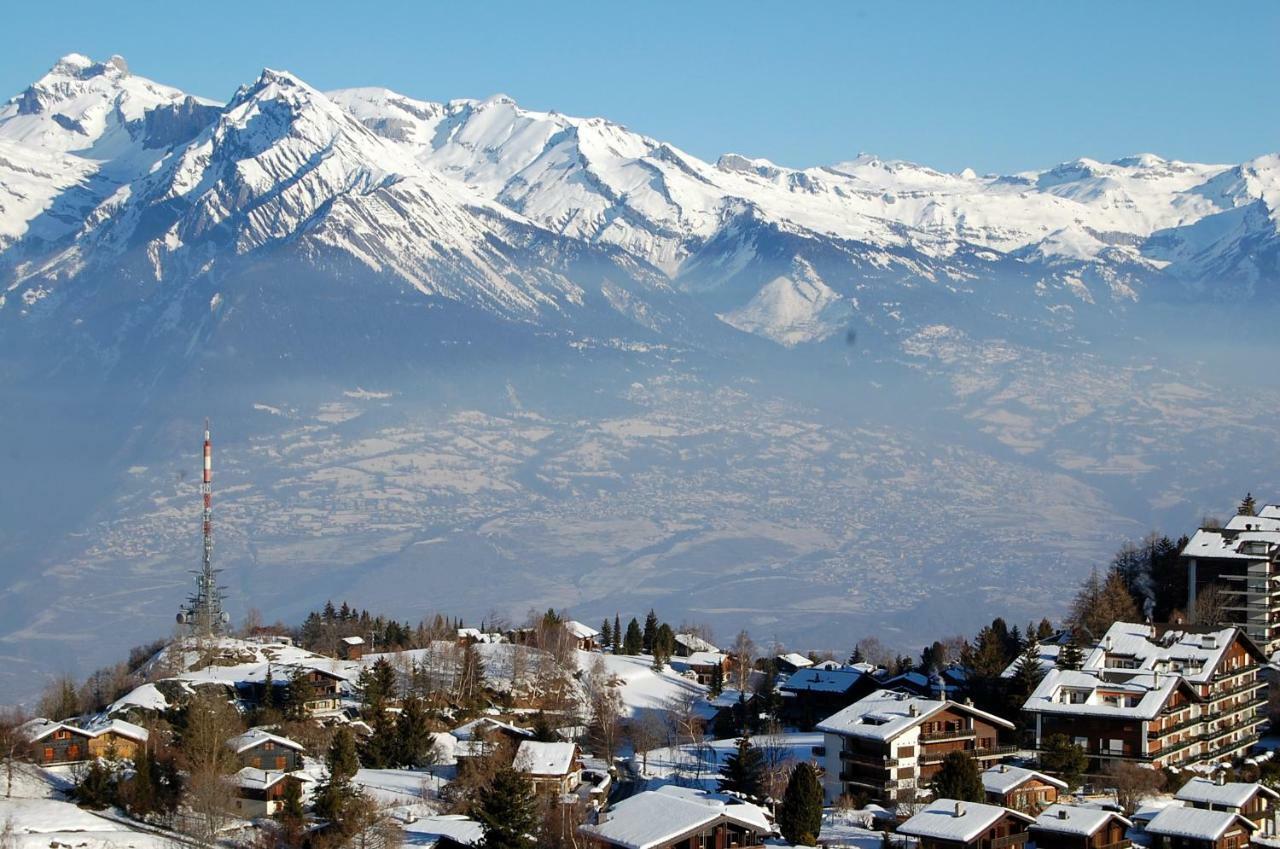 La Foret Apartment With Spectacular Mountain Views Nendaz Luaran gambar